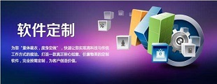 系统定制开发